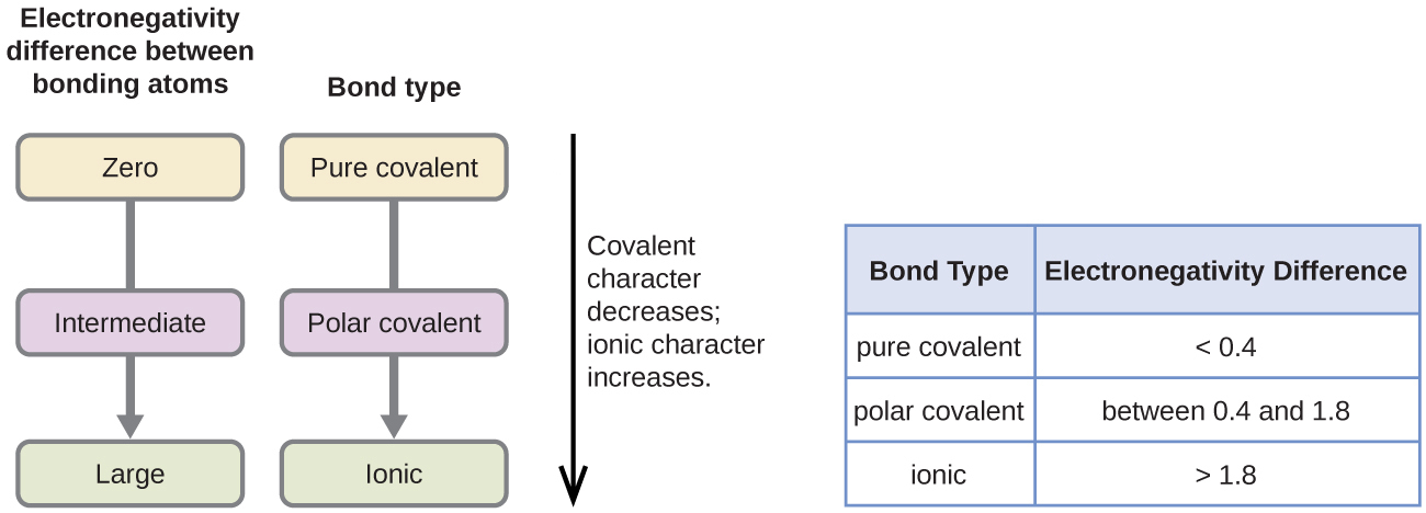 Covalent Bonding Introductory Chemistry