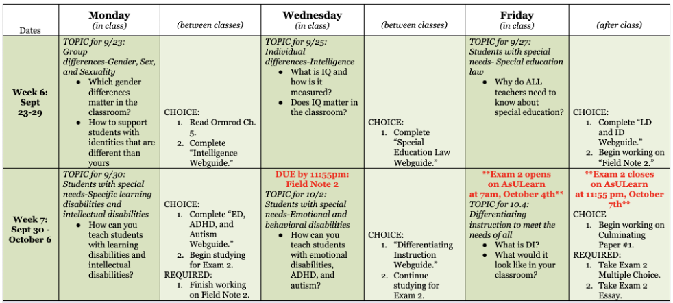 A schedule of two weeks' worth of activities both in class (three times a week sessions) and between classes.