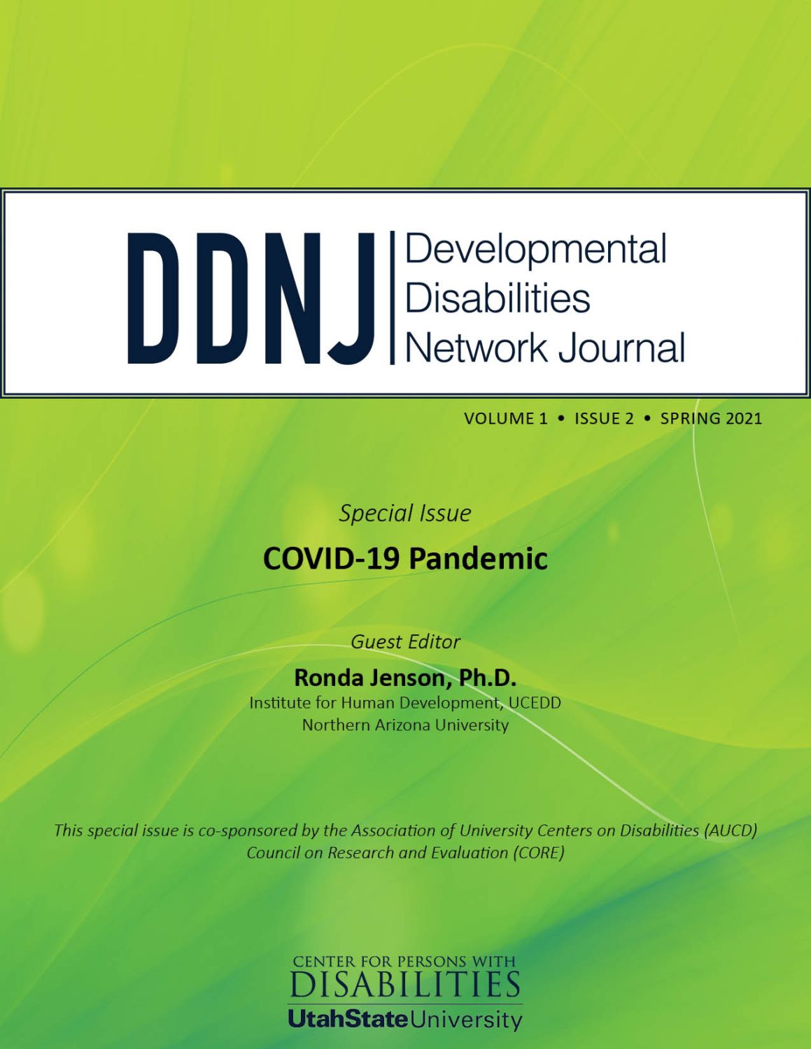 Cover image for Developmental Disabilities Network Journal, Volume 1, Issue 2