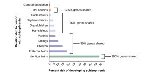 A bar graph has an x-axis labeled “Percent risk of developing schizophrenia” and a y-axis labeled “relationship to person with schizophrenia.” A series of relationships are correlated with the percentage risk, shown with brackets indicating the generic relationship. The general population has a 1% risk. First cousins have 2% risk; they share 12.5% of genes. The next relationships are uncles/aunts, nephews/nieces, grandchildren, and half-siblings; they share 25% of genes and the risk ranges from about 3–6%. The next relationships are parents, siblings, children, and fraternal twins; they share 50% of genes and the risks are about 6, 9, 13, and 17%, respectively. Identical twins share 100% of genes and have about a 48% risk.