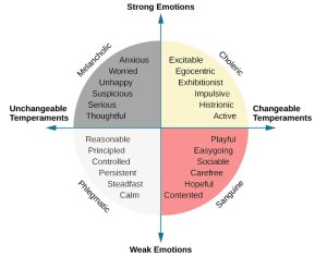 A circle is divided vertically and horizontally into four sections by lines with arrows at the ends. Clockwise from the top, the arrows are labeled “Strong Emotions,” “Changeable Temperaments,” “Weak Emotions,” and “Unchangeable Temperaments.” The arcs around the perimeter of the circle, clockwise beginning with the top right segment are labeled “Choleric,” “Sanguine,” “Phlegmatic,” and “Melancholic.” The sections inside each arc contain descriptive words. Inside the Choleric arc are the words “excitable, egocentric, exhibitionist, impulsive, histrionic, and active.” Inside the Sanguine arc are the words “playful, easygoing, sociable, carefree, hopeful, and contented.” Inside the Phlegmatic arc are the words “reasonable, principled, controlled, persistent, steadfast, and calm.” Inside the Melancholic arc are the words “anxious, worried, unhappy, suspicious, serious, and thoughtful.”