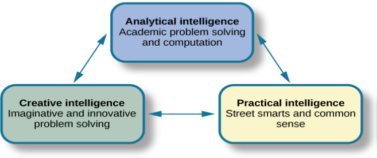 Three boxes are arranged in a triangle. The top box contains “Analytical intelligence; academic problem solving and computation.” There is a line with arrows on both ends connecting this box to another box containing “Practical intelligence; street smarts and common sense.” Another line with arrows on both ends connects this box to another box containing “Creative intelligence; imaginative and innovative problem solving.” Another line with arrows on both ends connects this box to the first box described, completing the triangle.