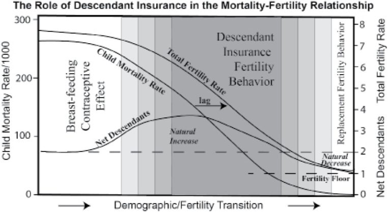 Chapter 5 Human Population And Sustainability Natural Resources