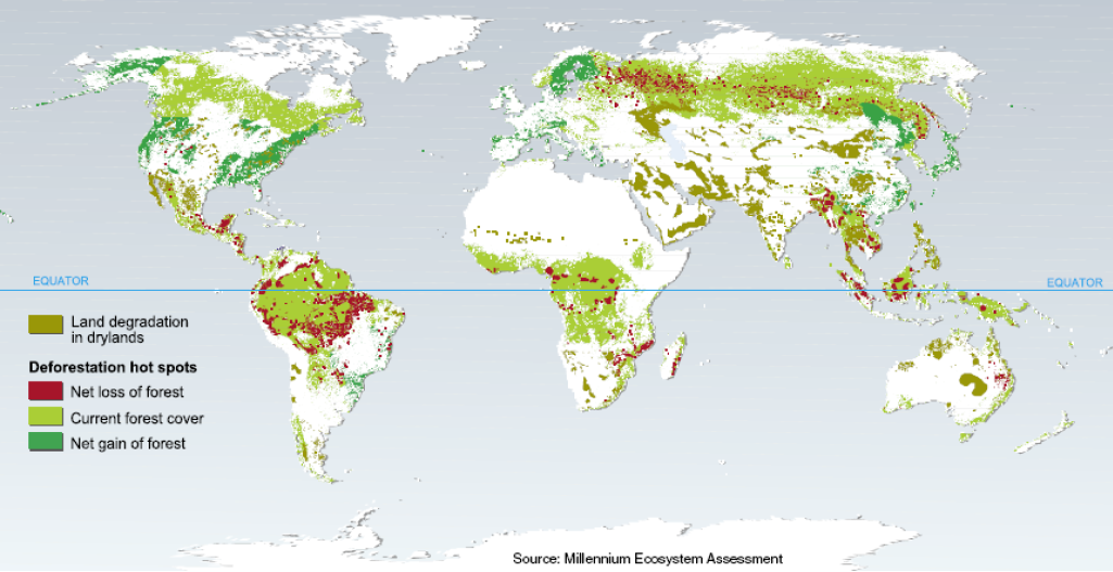 Map showing regions of land use change focusing on losses and gains in forest cover, 1980–2000 on world map. Deforestation hotspots are labeled in red and are found mostly in the Amazon, parts of Mexico, India, Indonesia, Malaysia, and Russia. The current forest cover is most prevalent in these same areas. Areas with net gain in forest include Alaska, the West and East coasts of the U.S., Sweden and Finland.
