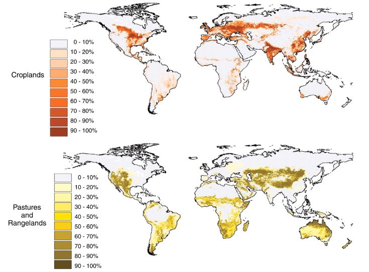 A resource showing two different images of a global map that highlights the use of cropland areas in orange and pastures and rangelands used for livestock grazing in yellow. On the left-hand side of each image is a key that shows a scale 0 to 100 percent where when the numbers on the scale increase, the color highlighted on the areas darkens. The global map showing croplands shows deep orange sections in areas like Mid-East America, the middle of Canada, Europe, Western Russia, India and the coastline areas of most Asian countries. Pasture and grasslands on the other map are highlighted almost oppositely with deep yellow areas being in Western America, Mexico, a majority of South America, Southern Africa, areas of the Middle East and Western Asian countries away from the coasts, and Australia.  