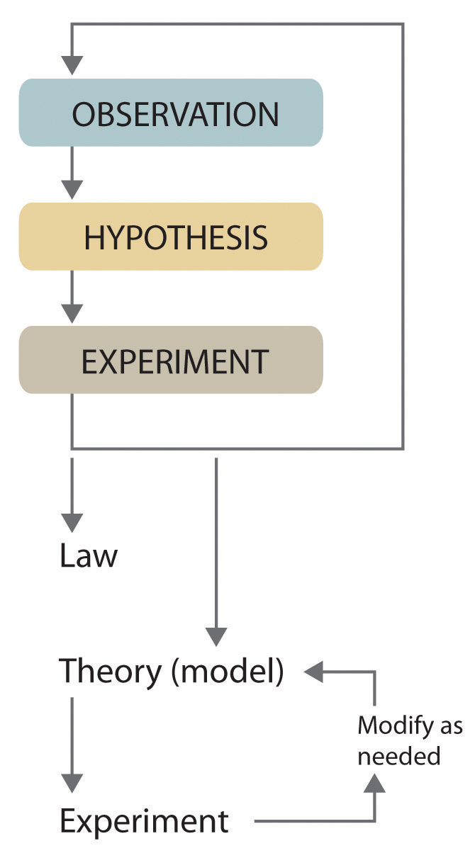 components of scientific method hypothesis