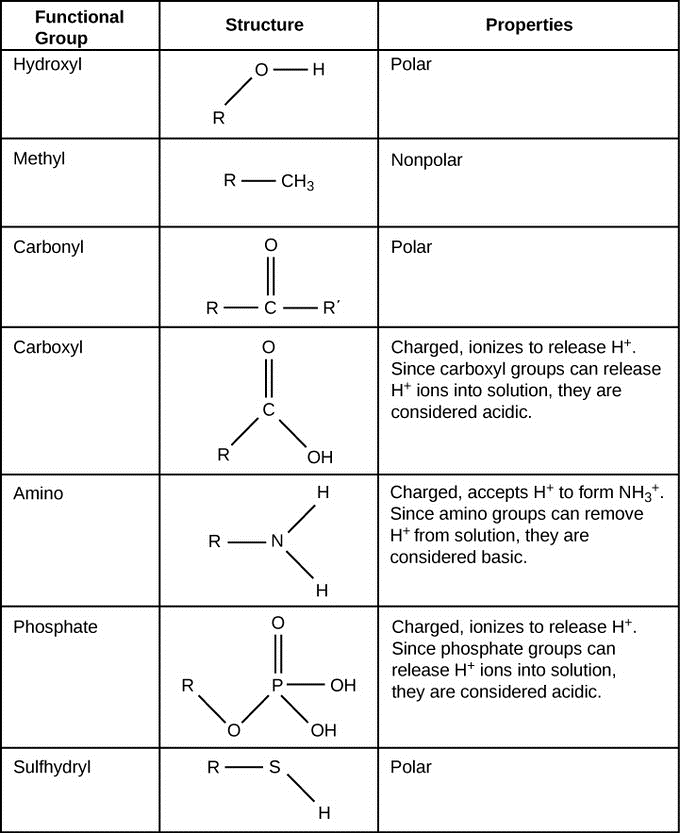 organic compounds examples list