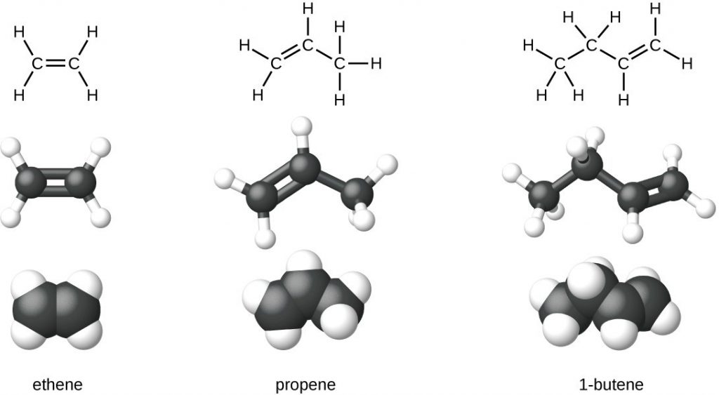 Hydrocarbons – Introductory Chemistry