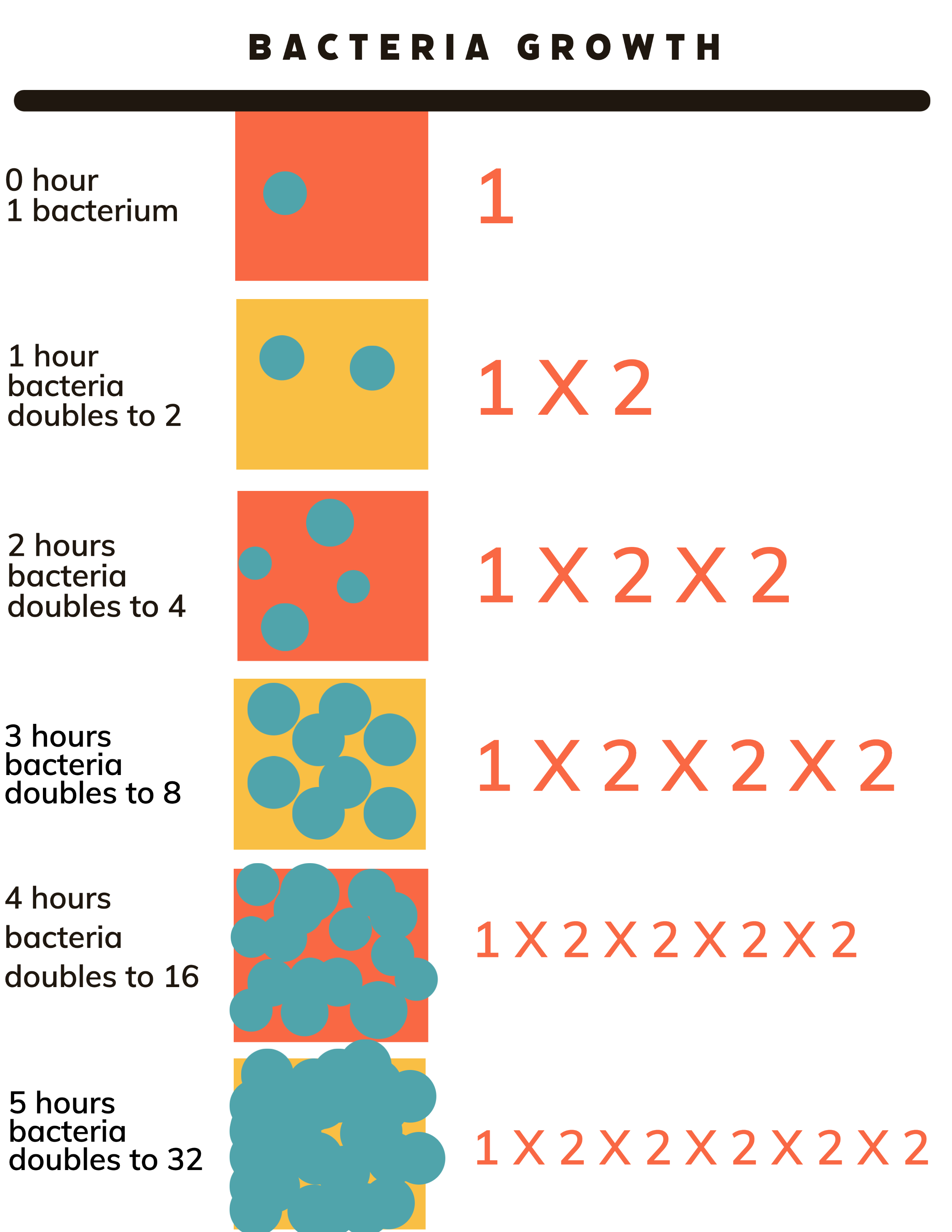 Chart showing how bacteria doubles every hour