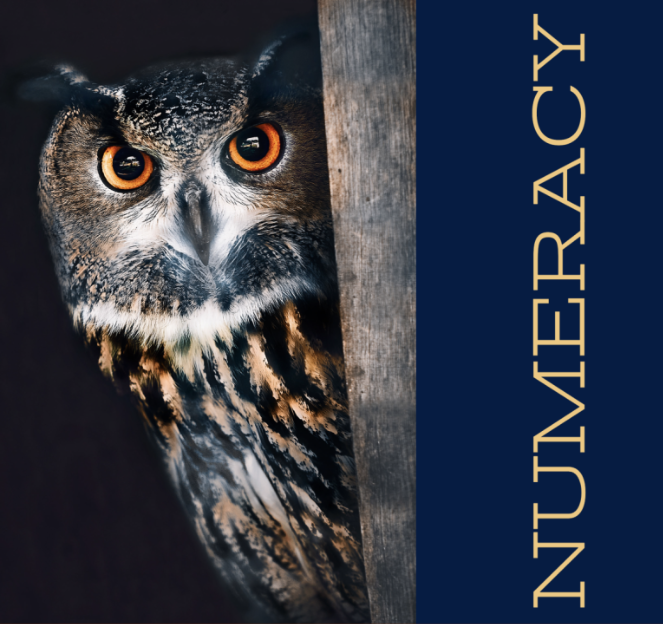 The textbook title, Numeracy, appears along with the names of three authors arranged around an illustration of an owl.