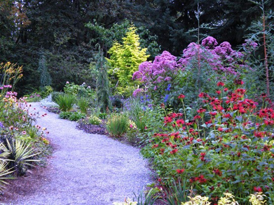 A winding pathway is bordered by flowers that come in a variety of colors and shapes.