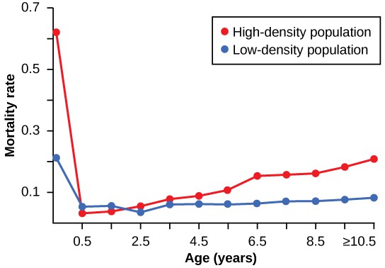 Graph with mortality rate from 0 to 0.7 on the Y axis and age in years from 0 to greater than or equal to 10.5 on the X axis. The mortality rate for the high-density population starts at about 0.6 at age 0 (near birth) then drops dramatically to about 0.03 at six months old, then climbs in a nearly straight line to reach about 0.2 at the age of 10.5 years. The mortality rate for the low-density population starts at about 0.2 at age 0 (near birth) then drops to about 0.06 at six months old, then gradually climbs only a small amount to reach about 0.1 at the age of 10.5 years.