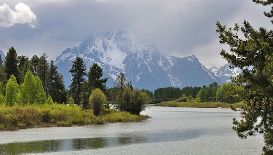 Photo of Grand Teton National Park shows an oxbow bend in a river with a grassy bank and a variety of deciduous and coniferous trees. Snowcapped mountains are in the background.