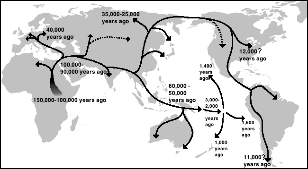 Map of hypothesized global migrations of humans out of Africa