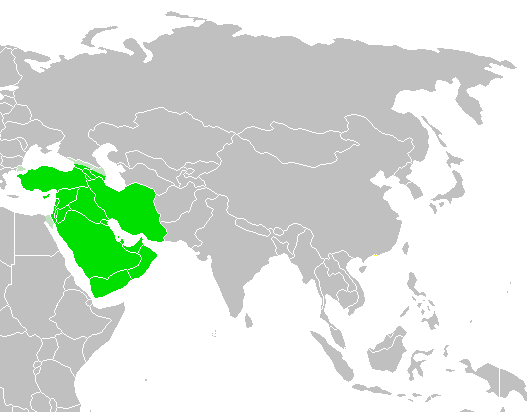 Southwest Asia, an area encompassing present day Turkey, the Arabian Peninsula, and Iran, highlighted in green