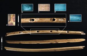 Bone flute, discovered in Hohle Fels Cave in southern Germany