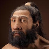 Artist's depiction of Neanderthal Man