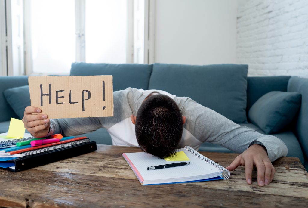 Young desperate student working and studying holding a help sign.