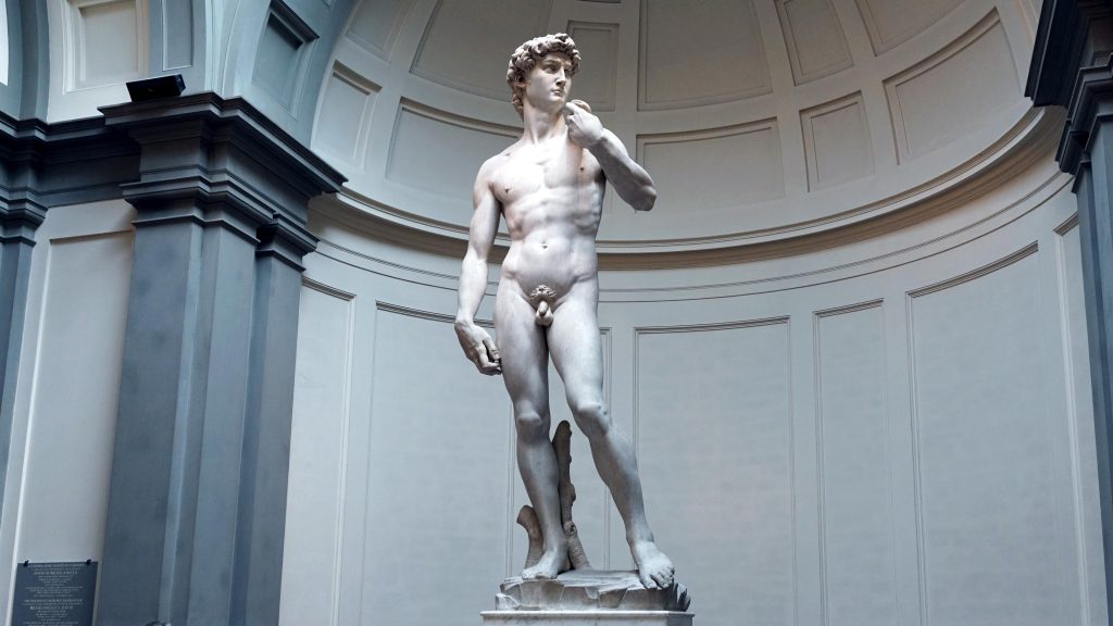 Michelangelo, David, marble, 1501–04 (Galleria dell’Accademia, Florence)