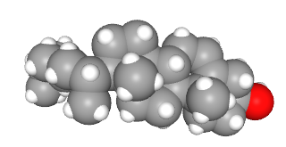 Space-filling model of the cholesterol molecule.