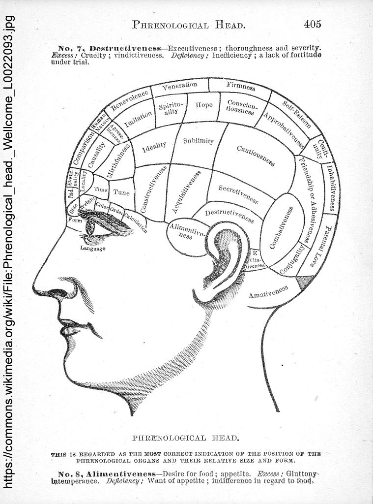 Diagram from an old book showing supposed areas of the brain / head devoted to different functions (phrenology).