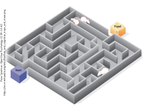 Illustration of rats navigating a maze in behavioral experiments.