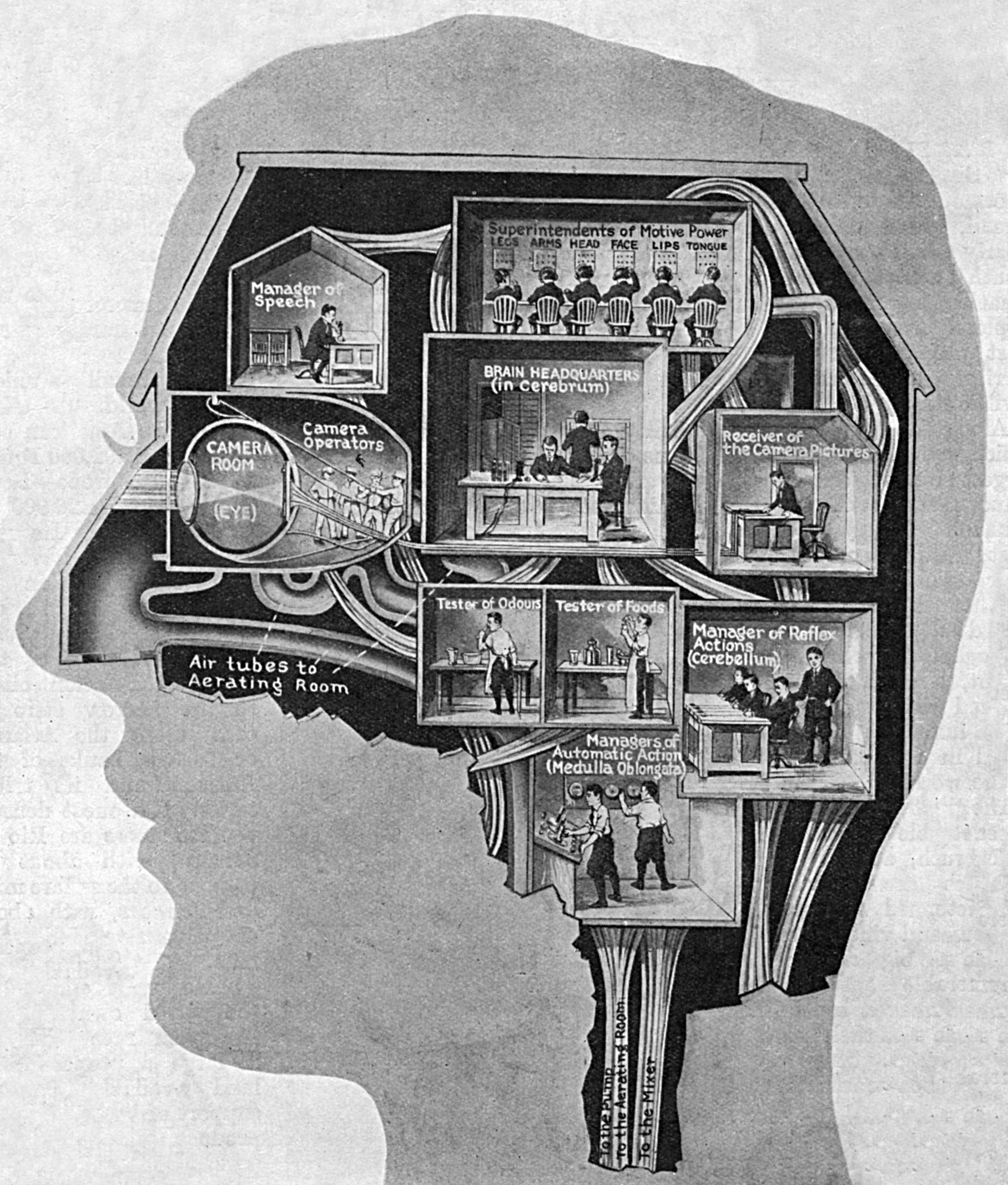 The brain, depicted as a business centre: a series of offices including the headquarters (cerebrum) and camera operators (the eye muscles) etc.