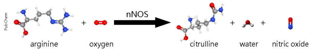 a graphical depiction of the chemical reaction that produces nitric oxide