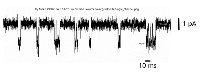 Electrical trace showing the flow of ions through individual channels.