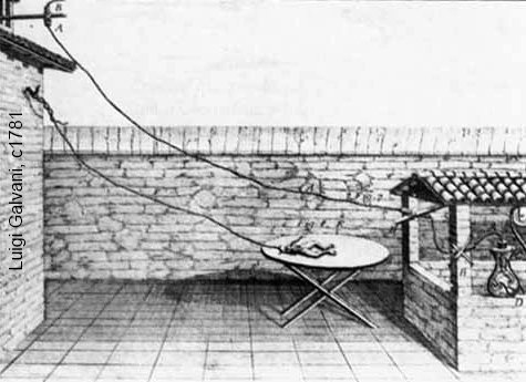 Luigi Galvani's experiment with electricity and frog legs in 1781.