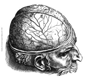 Pen and ink drawing of the human brain after Vesalius 1543.