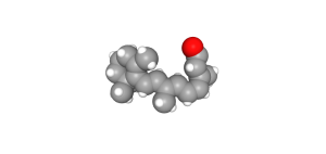 Space-filling model of 11-cis retinal