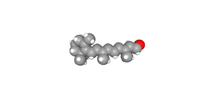 Space-filling model of all-trans retinal