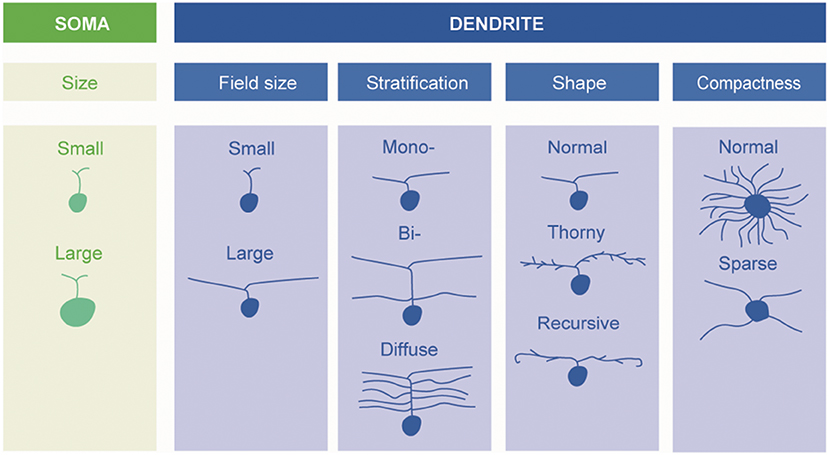 Diagram/table of the