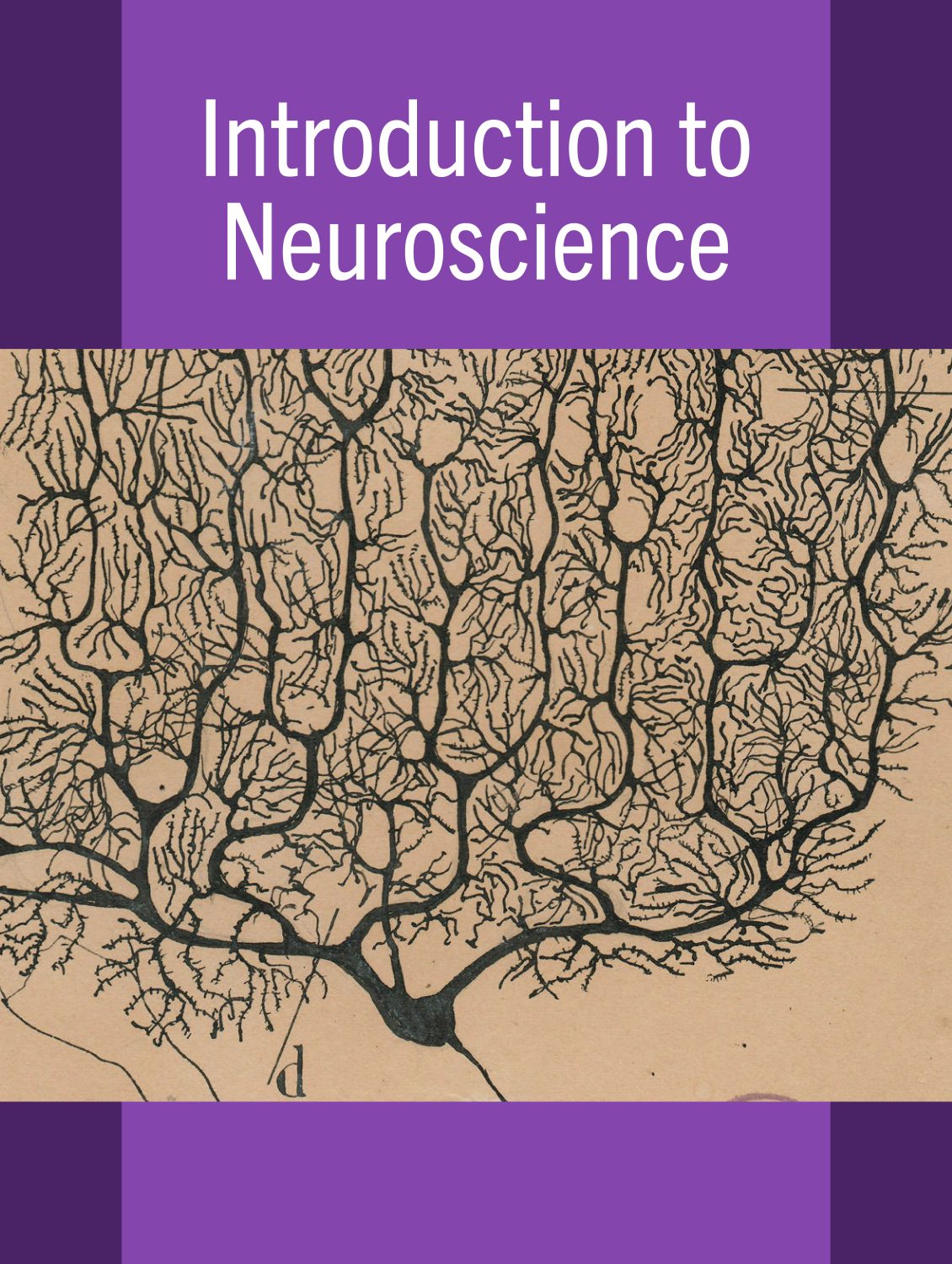 Cover image for Introduction to Neuroscience