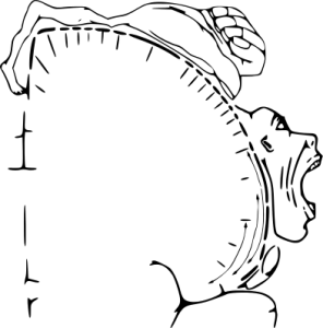 A diagram showing the motor homunculus (map of brain areas