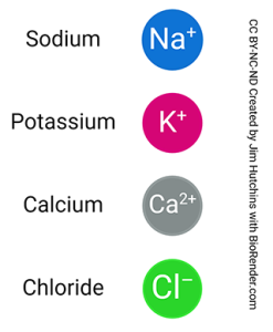 Table showing the color code for ions illustrated in this book.