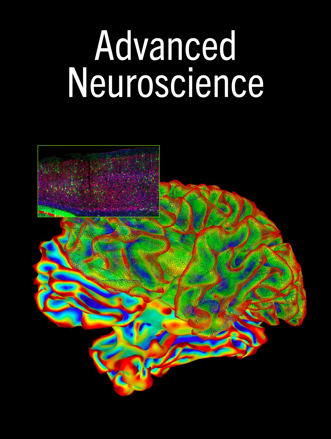 Cover image for Advanced Neuroscience