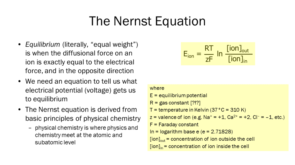 The Nernst Equation – Advanced Neuroscience