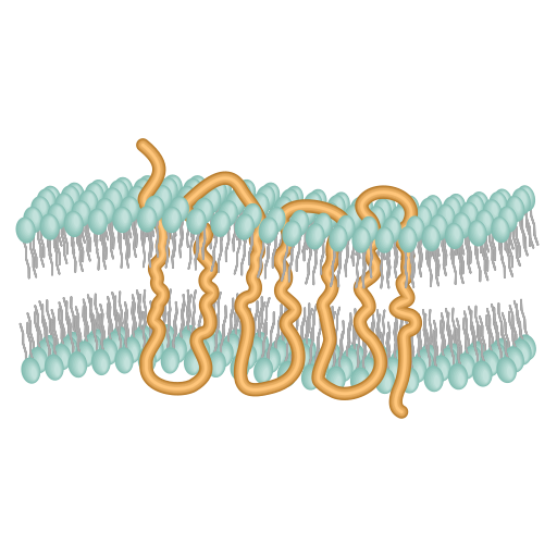 Comparing Ionotropic and Metabotropic Receptors – Developing Expertise ...