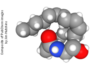 Space-filling model of anandamide