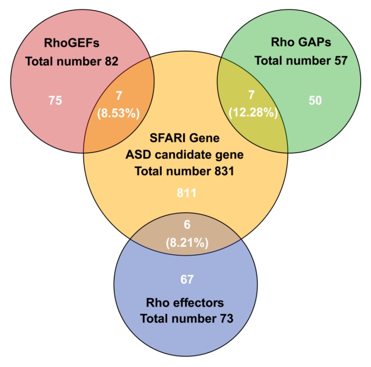 Venn diagram of the association of SFARI autism-related genes with Rho.