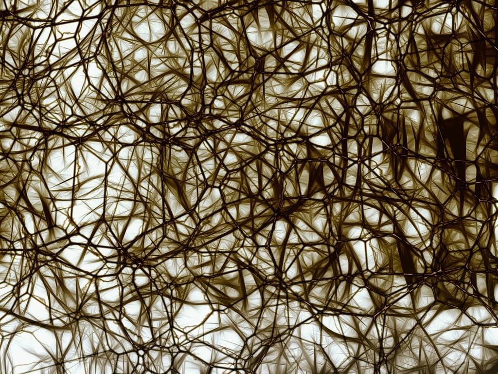 A photomicrograph of a cluster of neurons.