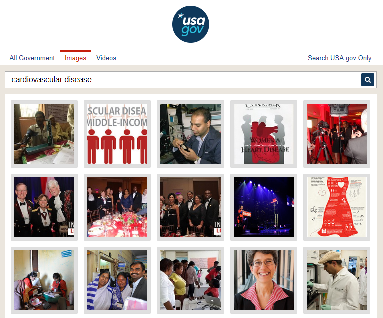 usa.gov image search results for cardiovascular disease
