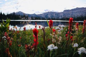 Ruth Lake