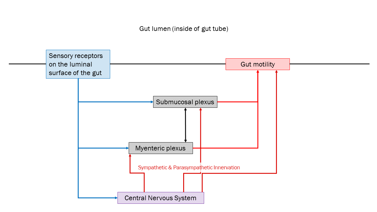 A diagram by Jim Hutchins