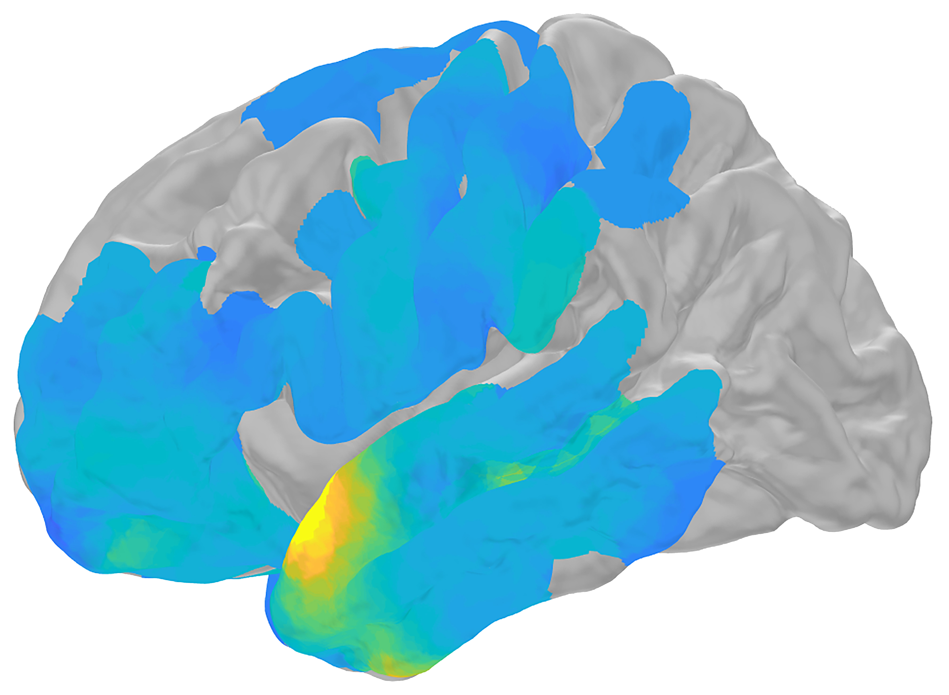 Illustration of ripples, tiny brain waves that trigger memories in the human brain.