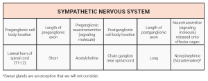 A table listing the features of the sympathetic nervous system.