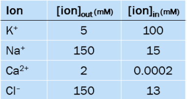 Table showing the concentration of various ions inside and outside the neuron.