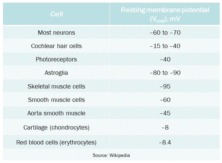 Table showing values for the resting potential of a variety of cell types.